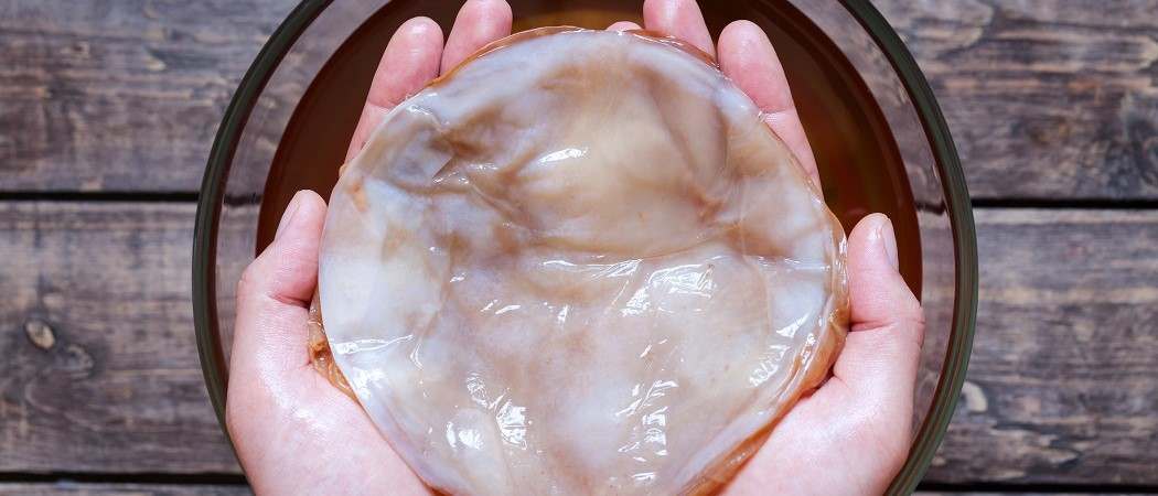 Kombucha scoby